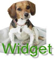 Widget Main